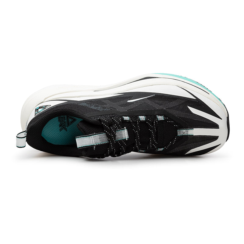 Peak Taichi Sports Shoes Black/White