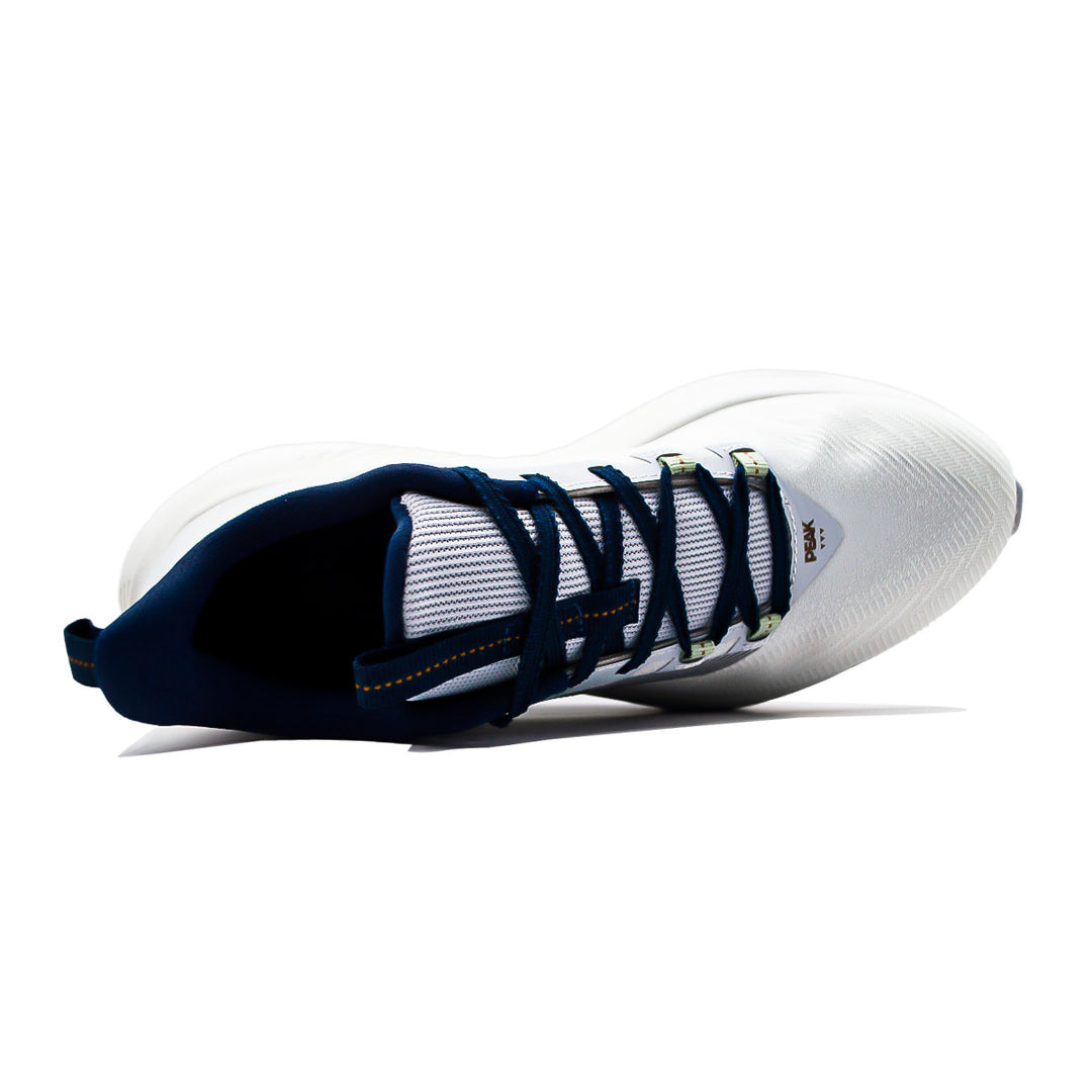 Peak Taichi TRAINING RUNNING SHOES-WHITE GREY