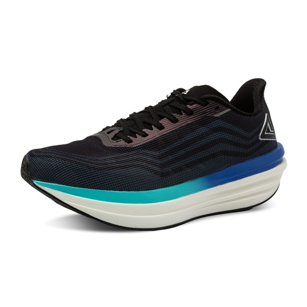 Peak Taichi Sports Shoes Black/Dk.Grey