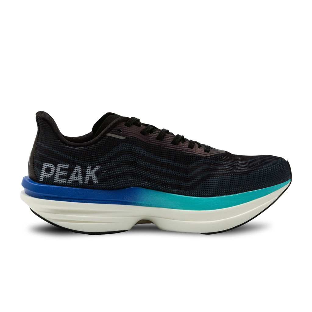 Peak Taichi Sports Shoes Black/Dk.Grey
