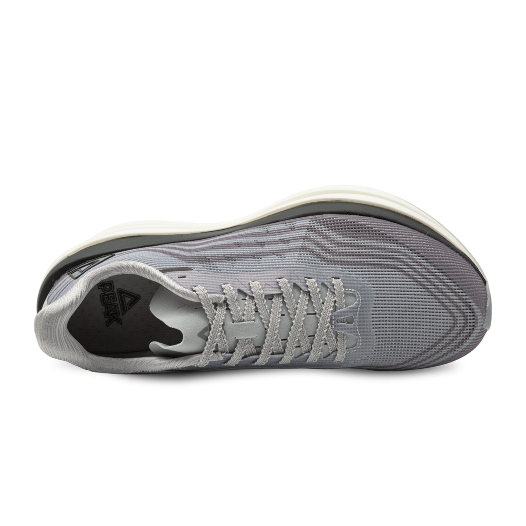 Peak Taichi Sports Shoes Grey