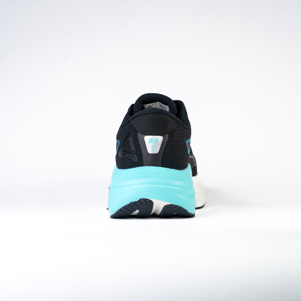 Peak Tiachi Sports Shoes Black