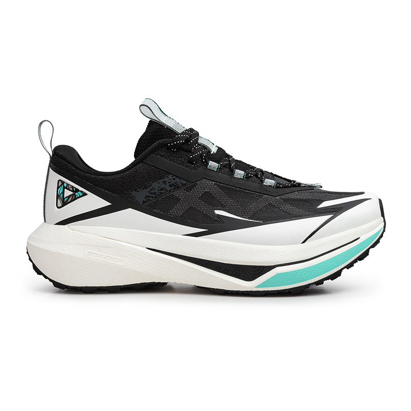 Peak Taichi Sports Shoes Black/White